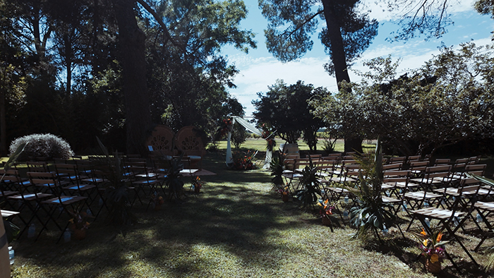photos